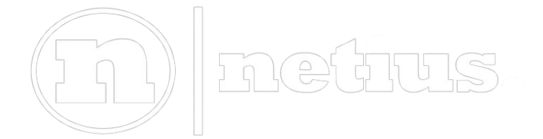 NETIUS Logo